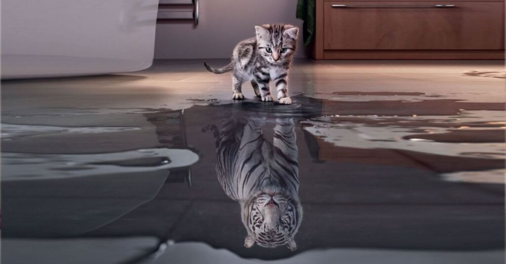 Imagine de sine….. Asta-s eu!